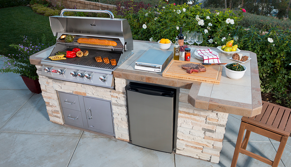 Brahma vs Angus — Which Bull is Right for You?